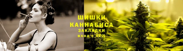 прущие крисы Алзамай