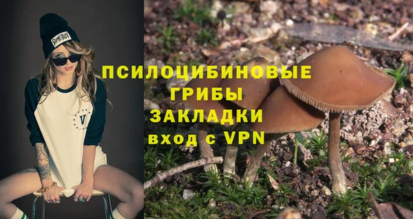 крисы Алексеевка